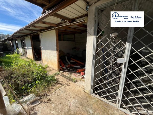 casa indipendente in vendita a Nettuno in zona Padiglione