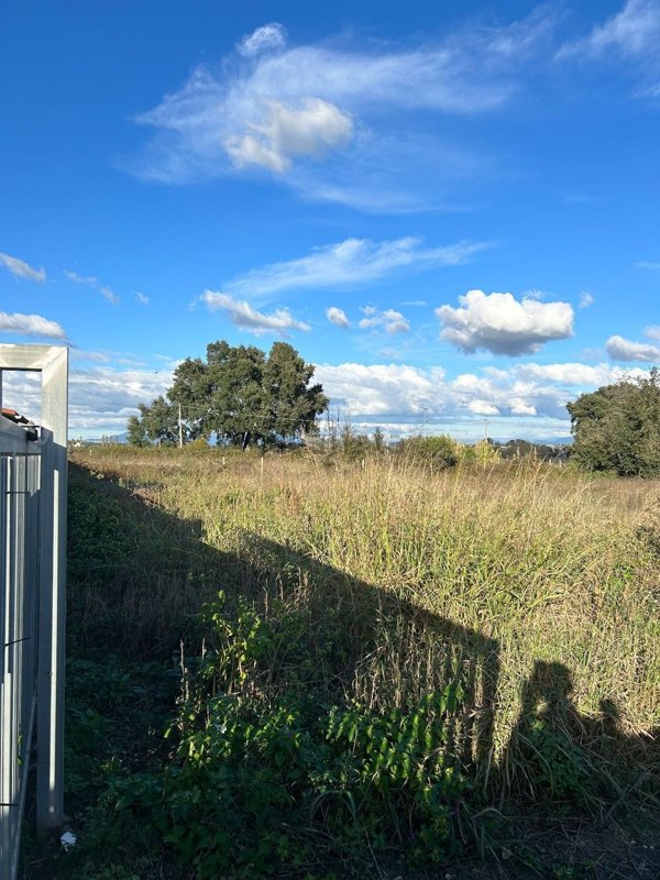 terreno edificabile in vendita a Nettuno