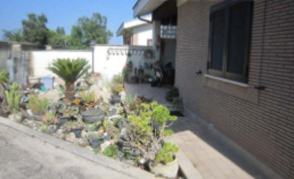 appartamento in vendita a Nettuno