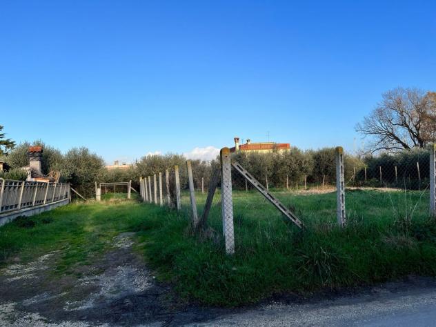 terreno agricolo in vendita a Nettuno