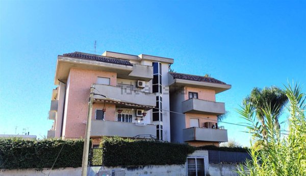 appartamento in vendita a Nettuno