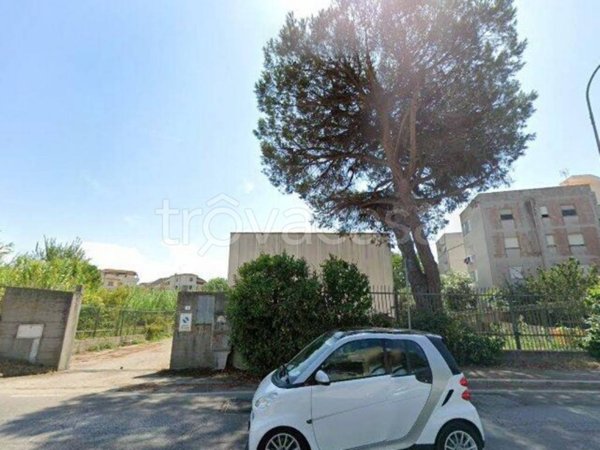 appartamento in vendita a Nettuno