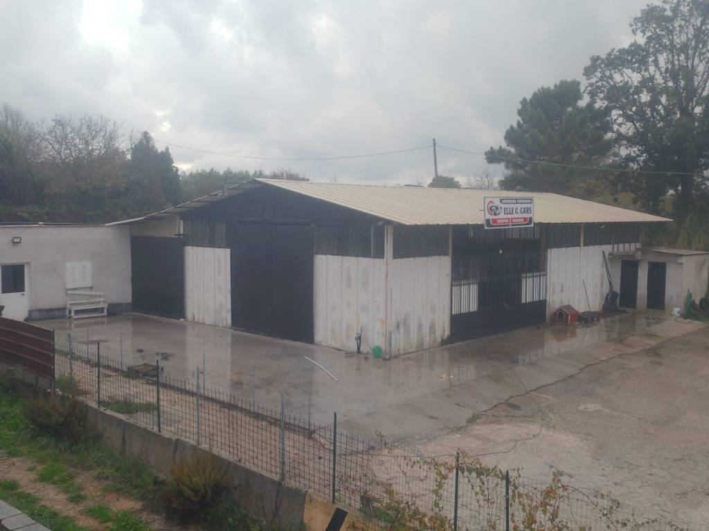 locale commerciale in vendita a Nettuno