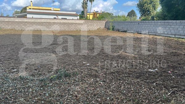 casa indipendente in vendita a Nettuno