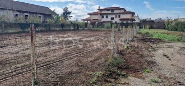 terreno agricolo in vendita a Nettuno