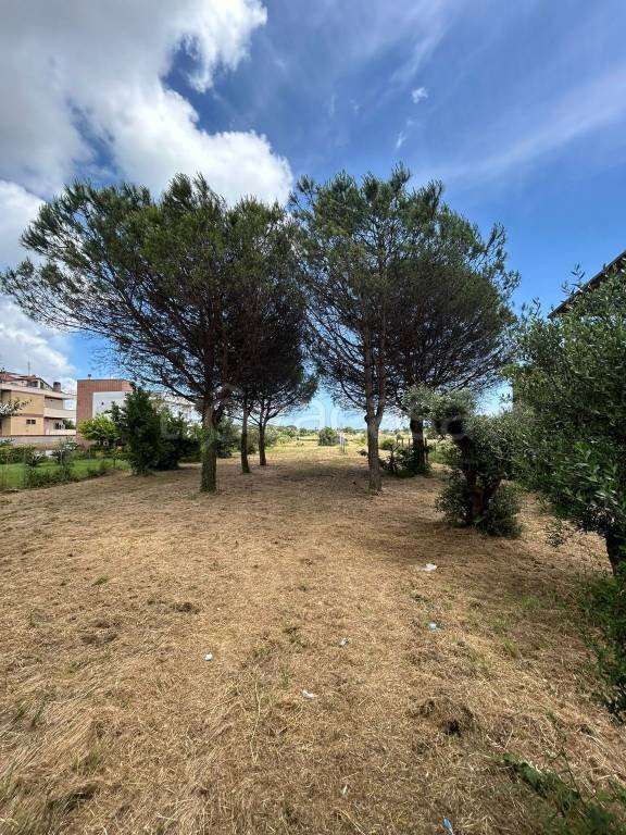 terreno agricolo in vendita a Nettuno