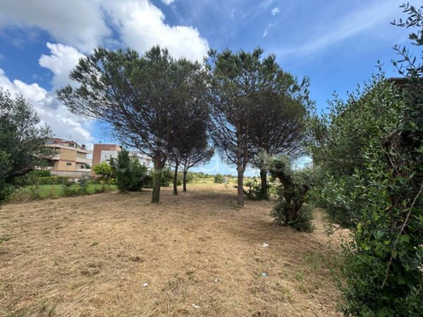 terreno agricolo in vendita a Nettuno