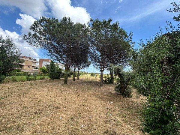 terreno agricolo in vendita a Nettuno