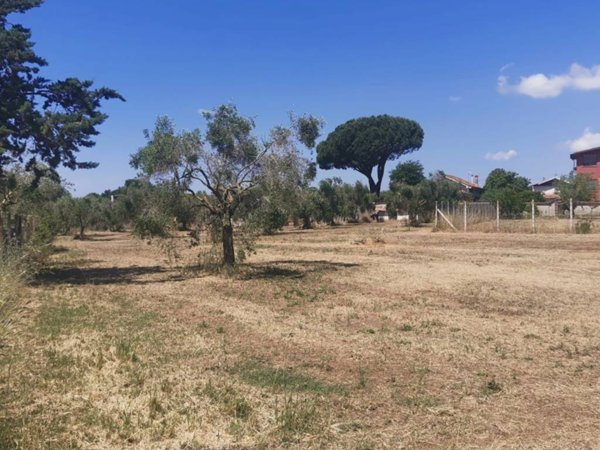 terreno agricolo in vendita a Nettuno