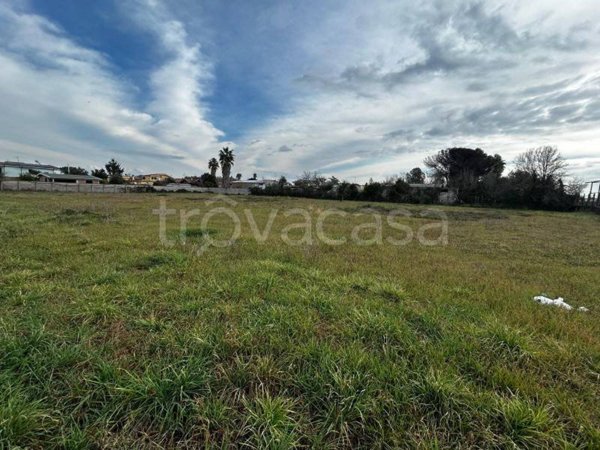 terreno agricolo in vendita a Nettuno