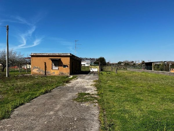 appartamento in vendita a Nettuno