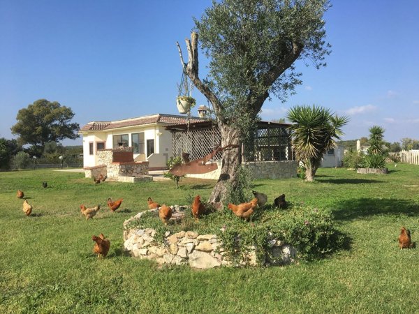 casa indipendente in vendita a Nettuno