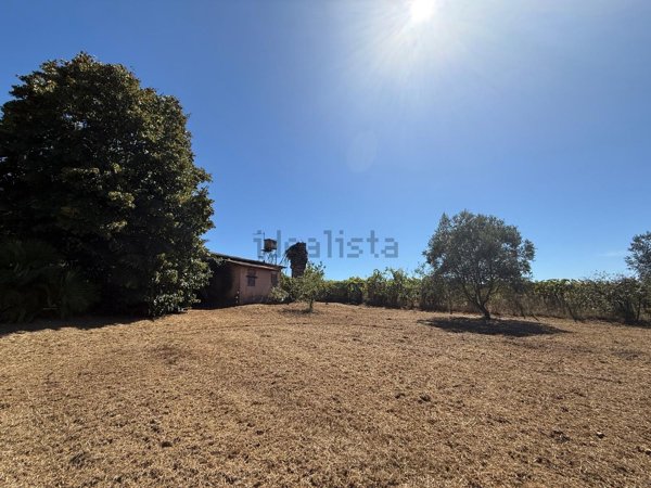 appartamento in vendita a Nettuno