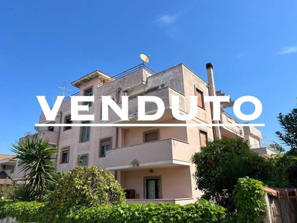 appartamento in vendita a Nettuno