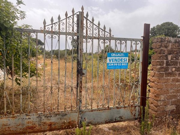 terreno edificabile in vendita a Nettuno