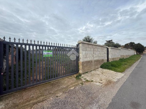 terreno agricolo in vendita a Nettuno