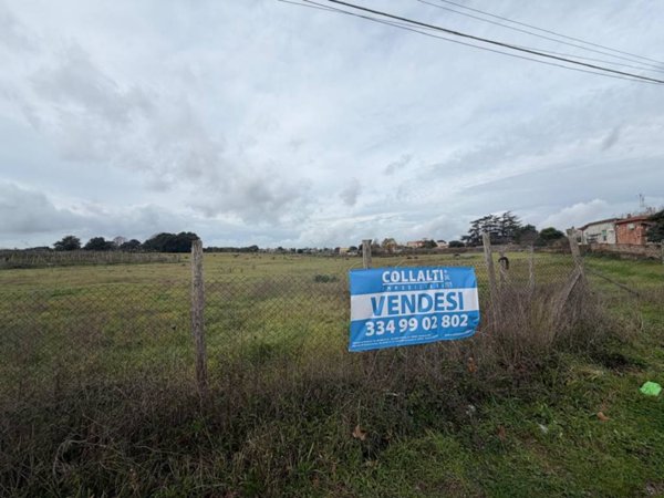 terreno agricolo in vendita a Nettuno