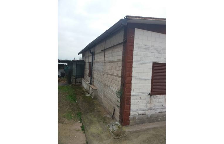 casa indipendente in vendita a Nettuno