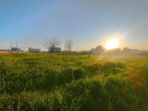 terreno edificabile in vendita a Nettuno
