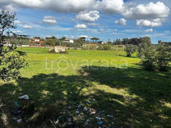 terreno agricolo in vendita a Nettuno