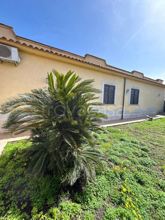 casa indipendente in vendita a Nettuno