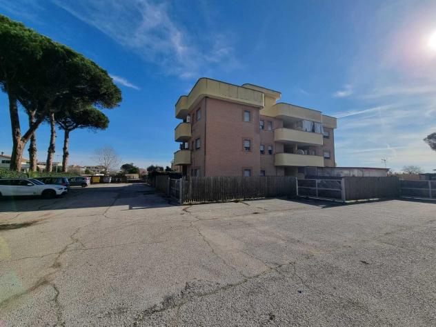 appartamento in vendita a Nettuno in zona Padiglione