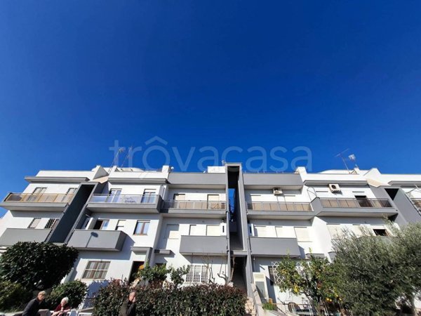 appartamento in vendita a Nettuno