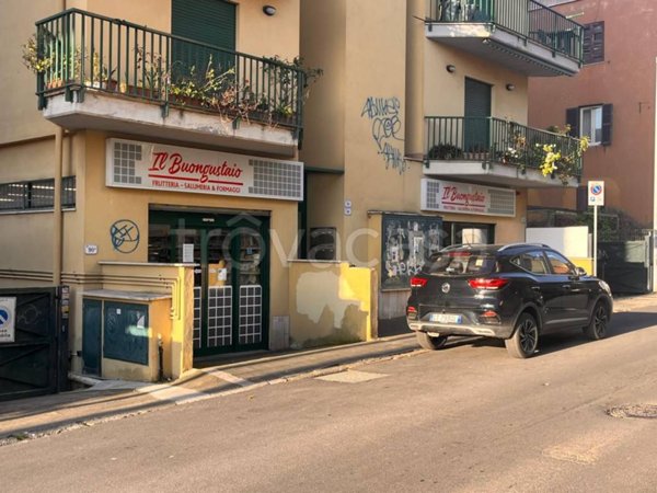 negozio in vendita a Nettuno