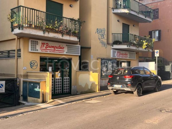 negozio in vendita a Nettuno