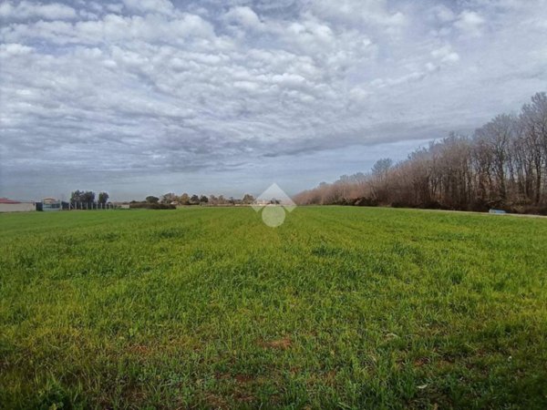 terreno agricolo in vendita a Nettuno in zona Padiglione