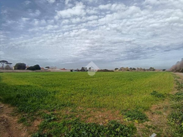terreno agricolo in vendita a Nettuno in zona Padiglione