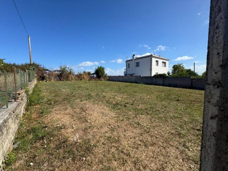 terreno agricolo in vendita a Nettuno