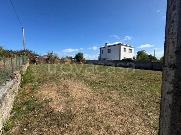 terreno agricolo in vendita a Nettuno