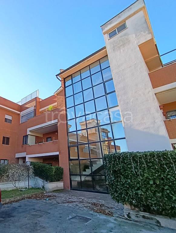 appartamento in vendita a Nettuno