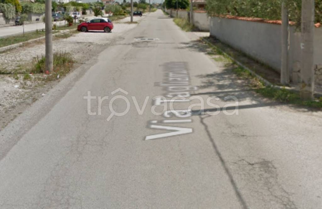 negozio in vendita a Nettuno