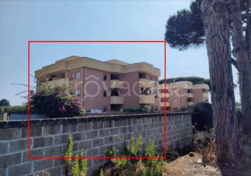 appartamento in vendita a Nettuno