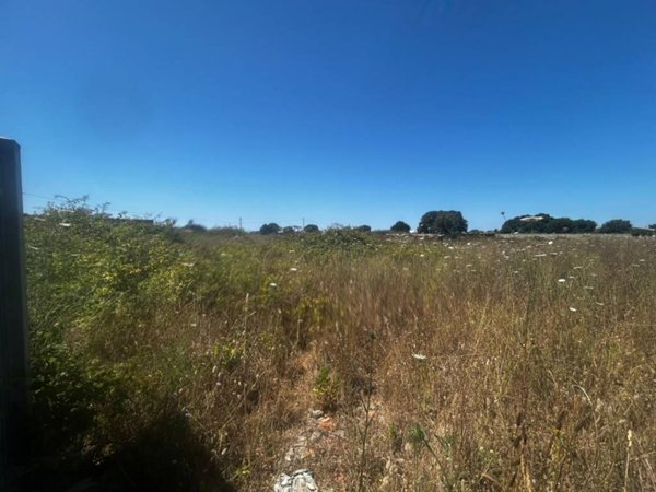 terreno agricolo in vendita a Nettuno in zona Padiglione