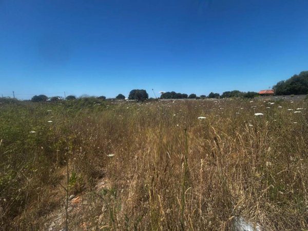 terreno agricolo in vendita a Nettuno