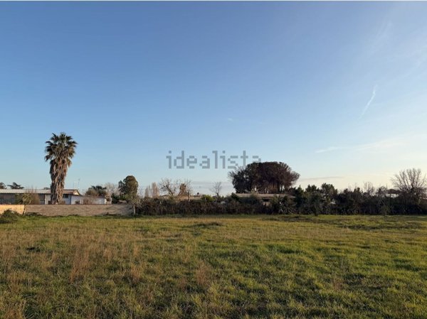 casa indipendente in vendita a Nettuno