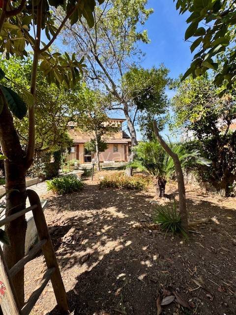 appartamento in vendita a Nettuno