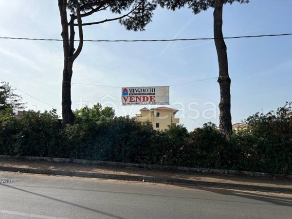 terreno agricolo in vendita a Nettuno
