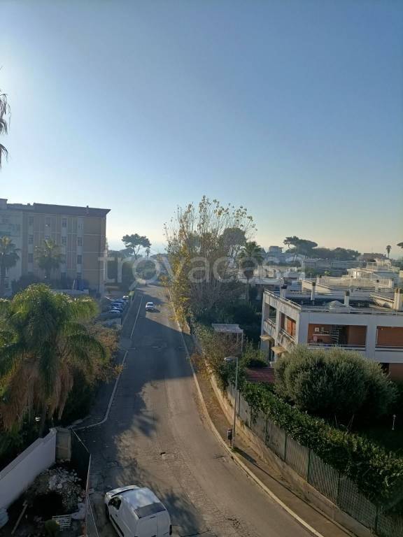 appartamento in vendita a Nettuno