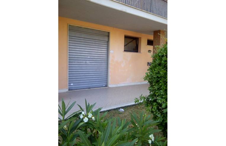 negozio in vendita a Nettuno