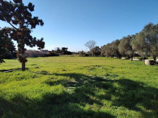 terreno agricolo in vendita a Nettuno