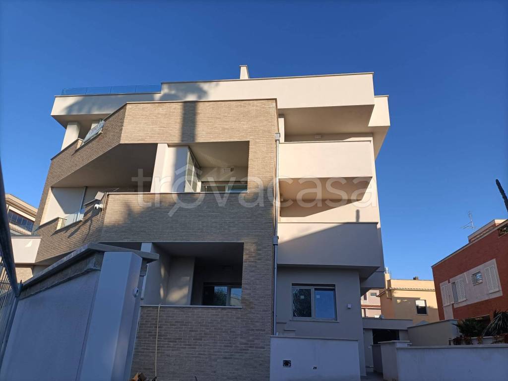 appartamento in vendita a Nettuno