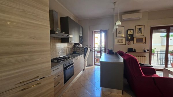 appartamento in vendita a Nettuno