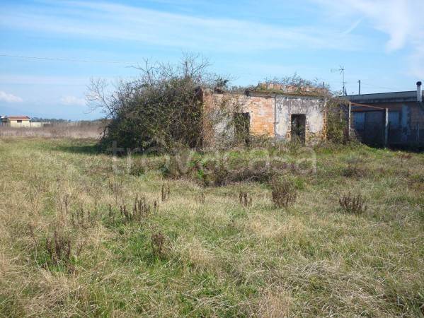 casa indipendente in vendita a Nettuno