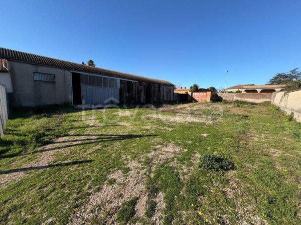 locale commerciale in vendita a Nettuno