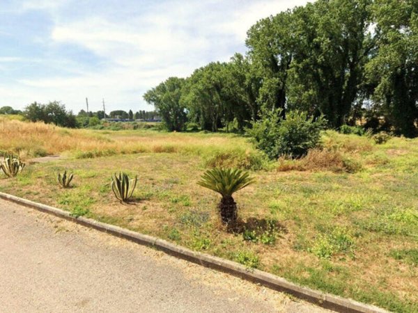 terreno agricolo in vendita a Nettuno