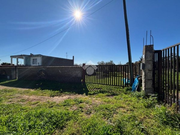 terreno agricolo in vendita a Nettuno
